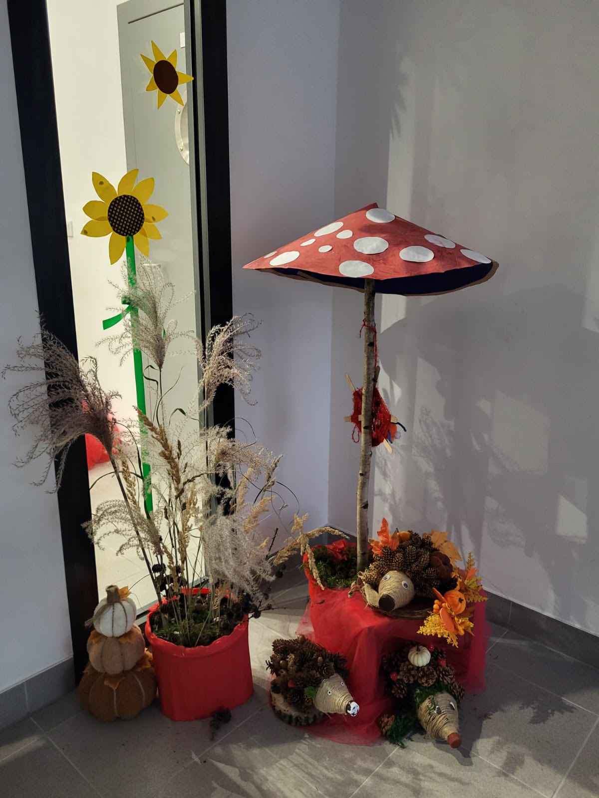 591711835 122246288732174904 3620383362579545074 n